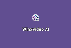 Winxvideo AI v4.1.0.0 中文破解版-视频 AI 剪辑软件