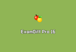 ExamDiff Pro v16.0.1.2 绿色破解版-文件和文件夹对比工具