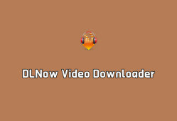 DLNow Video Downloader v1.54.2025.05.31 绿色版-油管视频下载工具